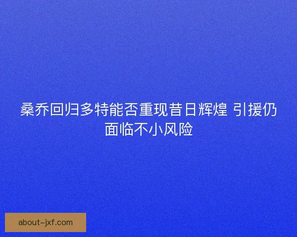 桑乔回归多特能否重现昔日辉煌 引援仍面临不小风险
